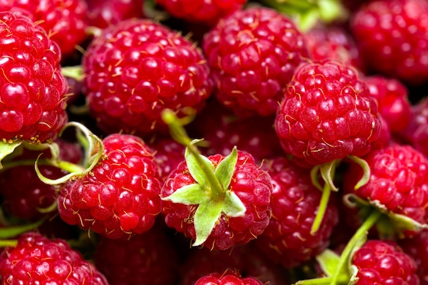 Framboises