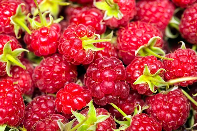 Framboises