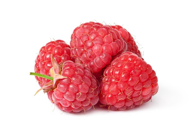 Framboises