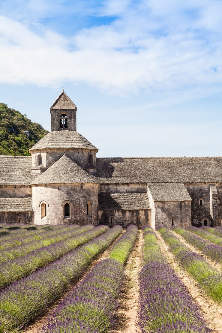 Photo france, provence, abbaye de sénanque. champ de lavande en saison estivale.