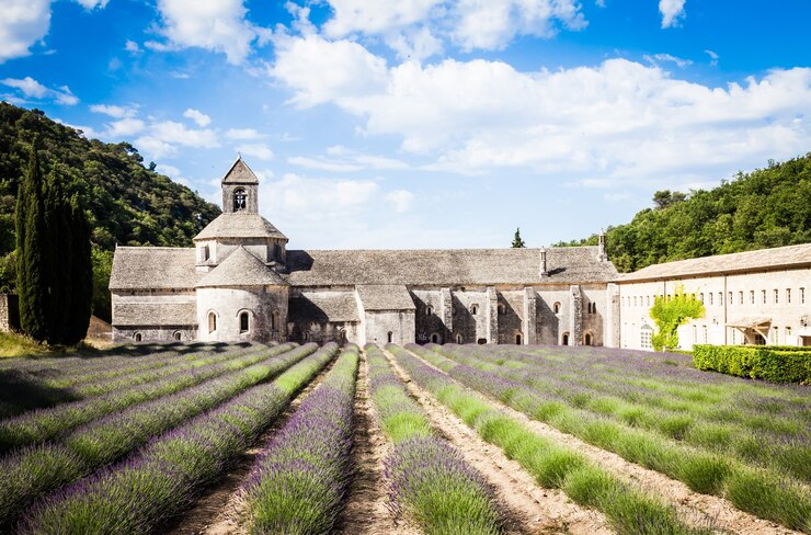 Photo france, provence, abbaye de sénanque. champ de lavande en saison estivale.