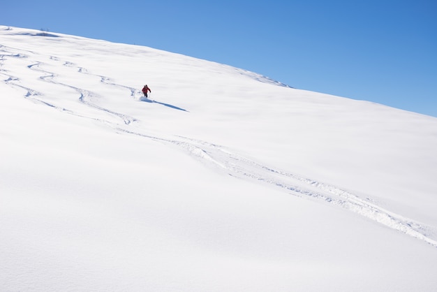 Freeride sur poudreuse fraîche