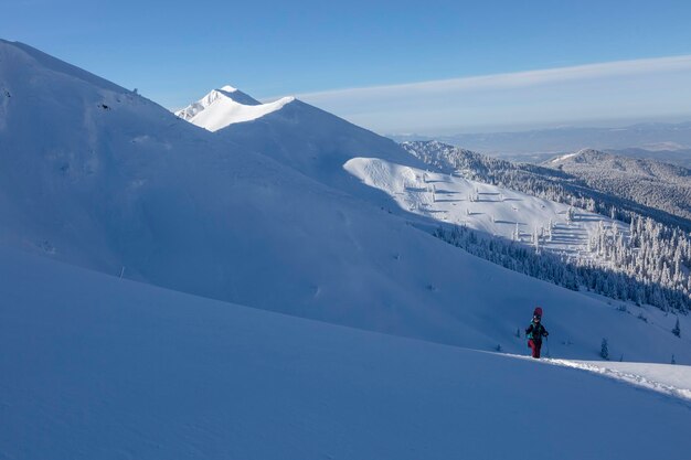 Une freerider active avec un snowboard fait des randonnées sur un sentier d'hiver