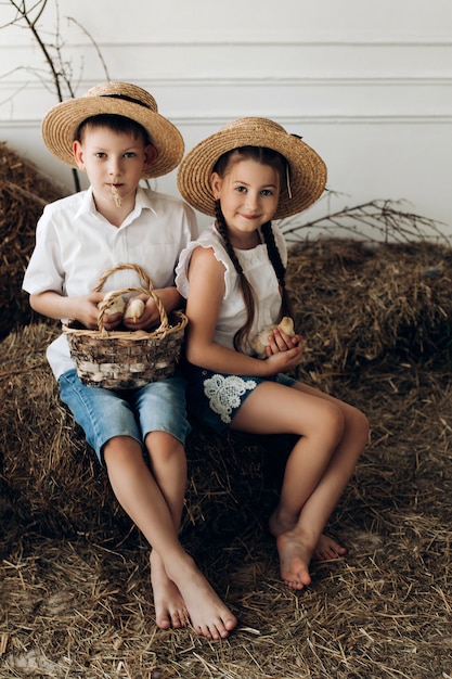 Frère et sœur dans des chapeaux de foin gardant de petits poussins