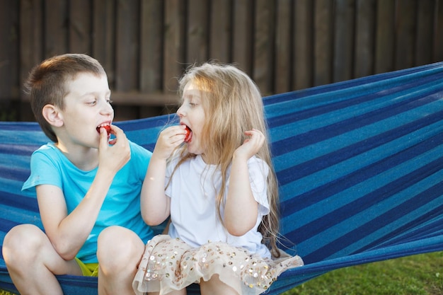 Frère et sœur mangeant des fraises assis dans le hamac bleu dans la cour arrière