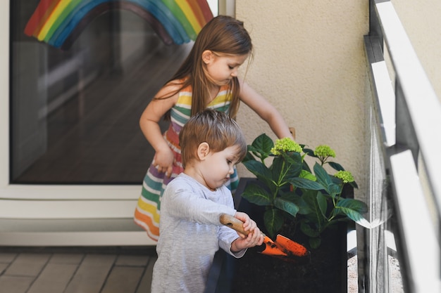 Frère et sœur plantant des fleurs d'hortensia sur le balcon