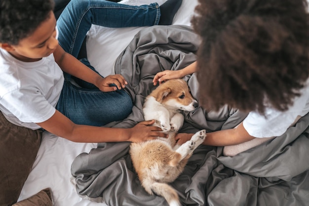 Frères et sœurs passent du temps à la maison et jouent avec un chiot