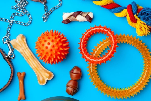 Photo des friandises et des jouets pour chiens sur fond bleu en gros plan