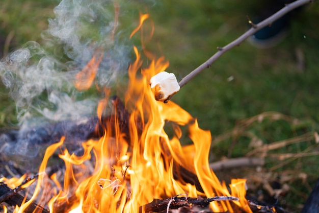 Friture De Guimauve Sur Un Feu De Camp