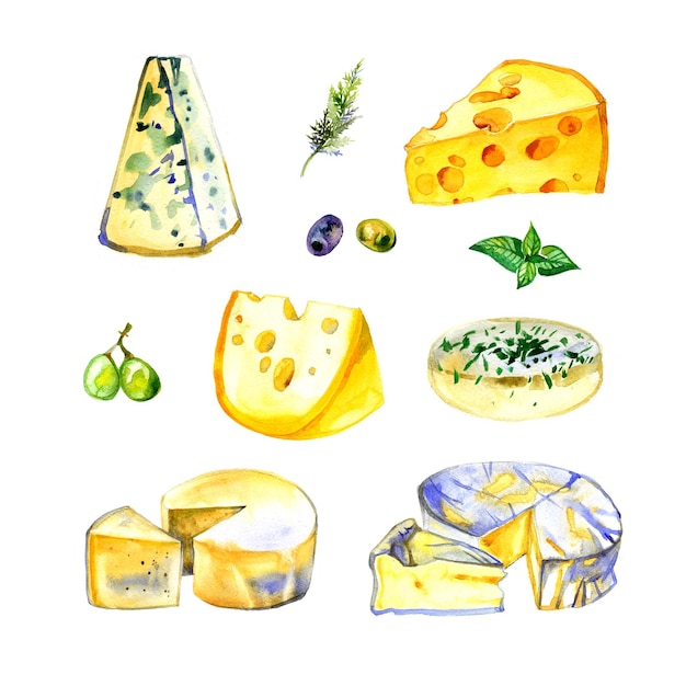 Fromage au lait aquarelle sur fond blanc