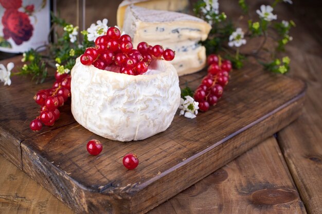 Fromage différent avec de la moisissure et du fromage à la crème sur une planche de bois