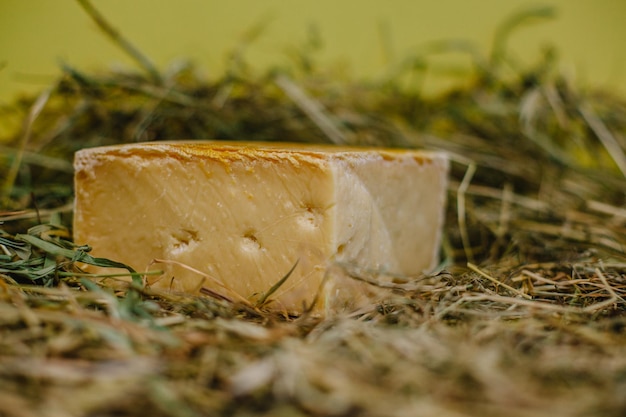 Fromage français traditionnel en foin à vendre sur le marché normand France