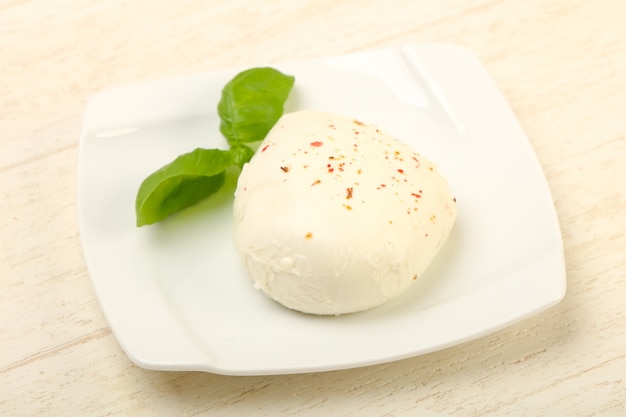 Fromage mozzarella