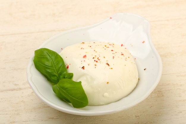 Fromage mozzarella