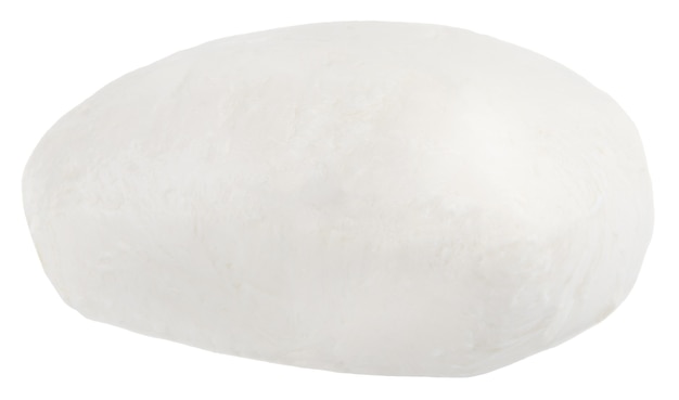 Fromage Mozzarella