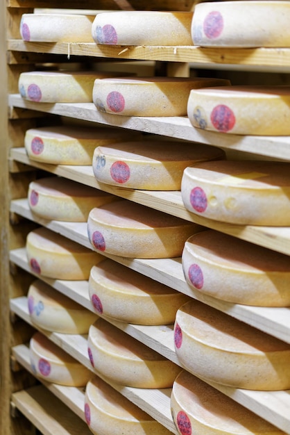 Fromage de vieillissement Comte sur des étagères en bois sur la cave d'affinage en Franche Comté crèmerie en France