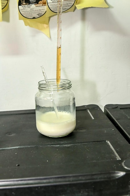 Le fromager prend à la main le tube à essai avec le caillé pour la production de fromage dans la laiterie