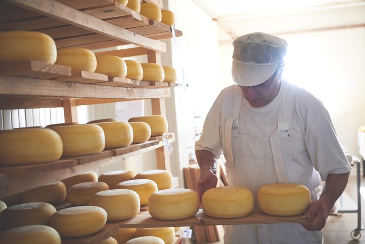 Fromagerie au stockage avec des étagères pleines de roues de fromage de vache et de chèvre pendant le processus de vieillissement dans l'usine de production alimentaire locale