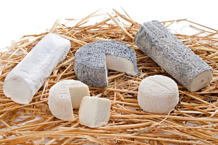 Photo fromages de chèvre sur paille