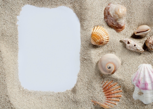 frontière cadre été plage coquille vierge copie espace