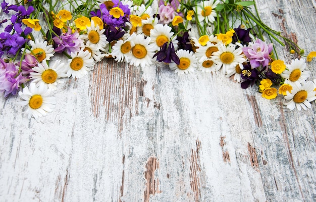 Frontière avec fleurs sauvages