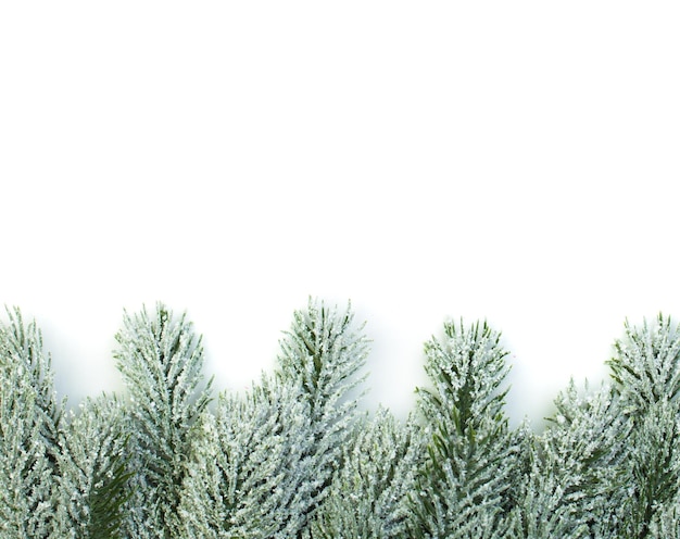 Frontière de Noël de branche de sapin vert sur fond blanc