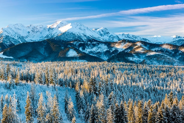 Frosty et froid matin à Tatras Pologne