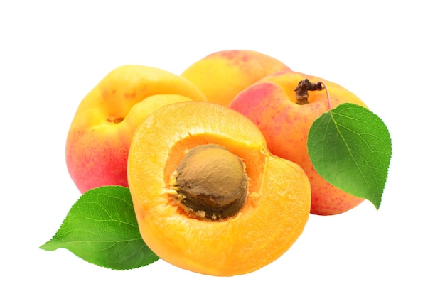 Fruit d'abricot sur fond blanc