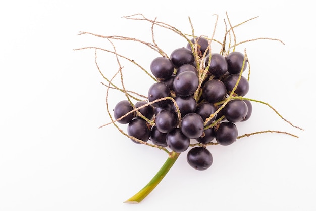 Fruit d'açaï sur fond blanc Euterpe Oleracea