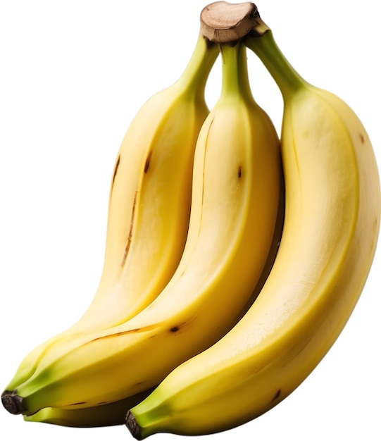 Régime De Bananes Fraîches De Bananes Jaunes