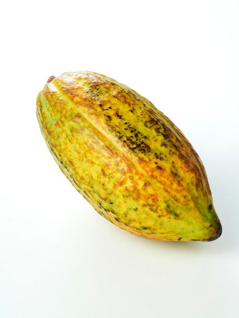 Fruit de cacao sur fond blanc