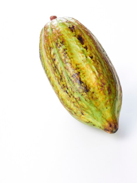 Fruit de cacao sur fond blanc