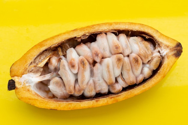 Fruit de cacao isolé sur fond jaune