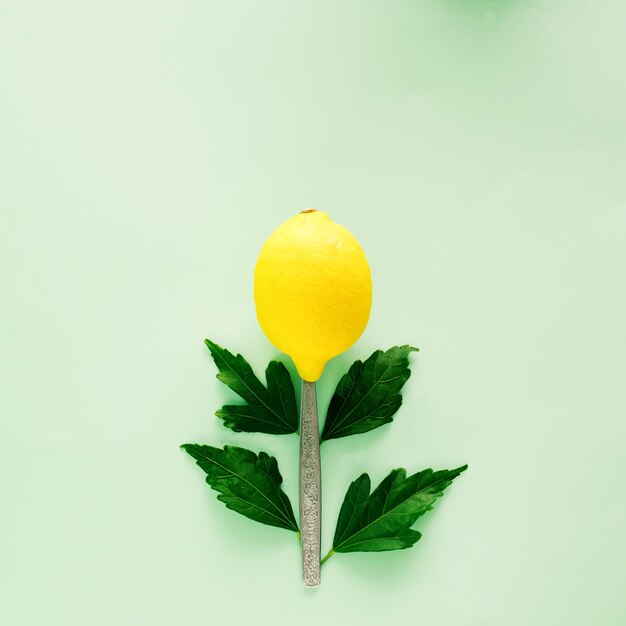 Photo fruit de citron sur une tige qui est une fourchette avec des feuilles vertes sur fond vert à plat