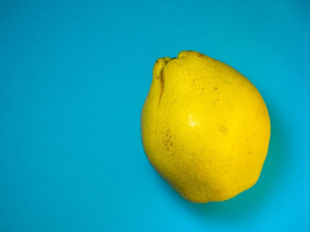 Fruit de coing juteux sur fond bleu Produit utile mûr