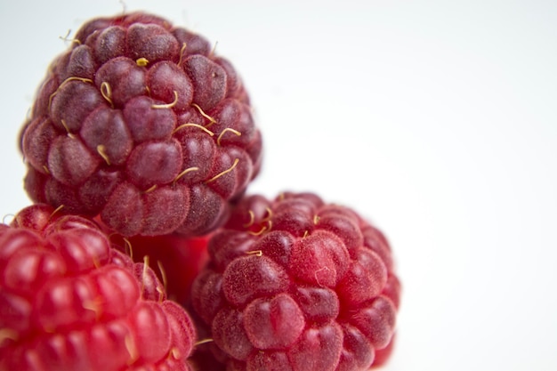 le fruit comestible d'une multitude d'espèces végétales du genre Rubus de la famille des roses Ri