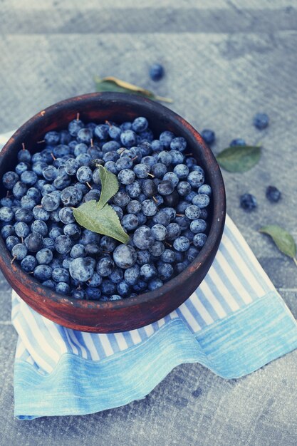 Fruit curatif astringent Prunus spinosa dans un bol