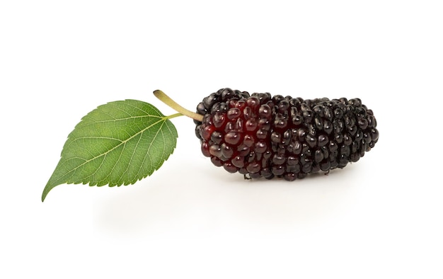 Fruit du mûrier avec feuille verte isolé sur fond blanc