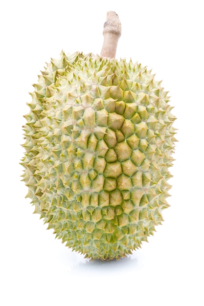 Fruit de Durian sur blanc