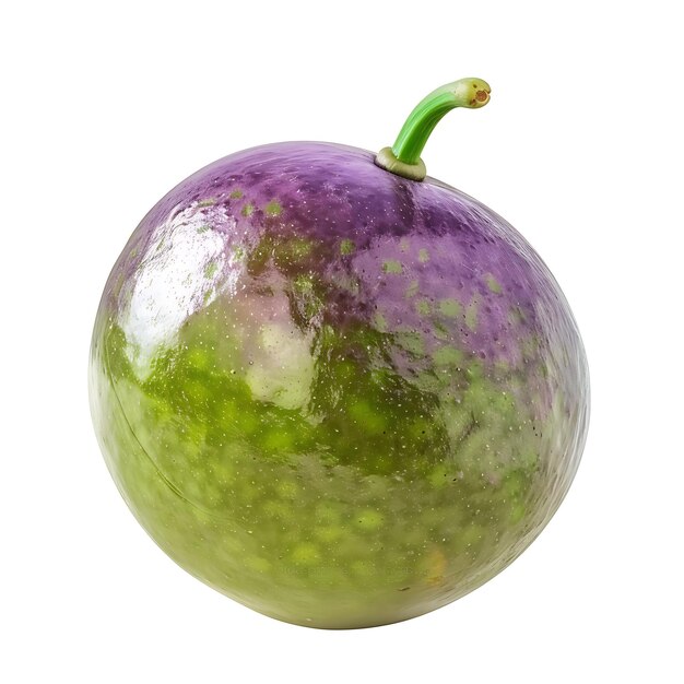 Photo fruit de genip avec une petite forme ronde et une partie isolée de couleur verte ou violette sur blanc bg photo