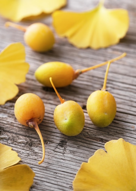 Fruit de ginkgo mûr avec des feuilles jaunes fraîches sur la table en bois Médecine traditionnelle à base de plantes