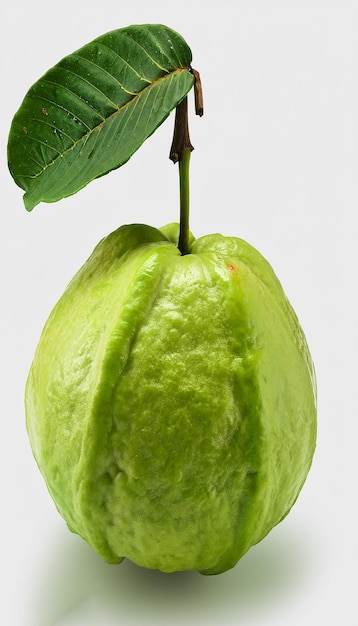 Fruit de goyave avec feuille isolée