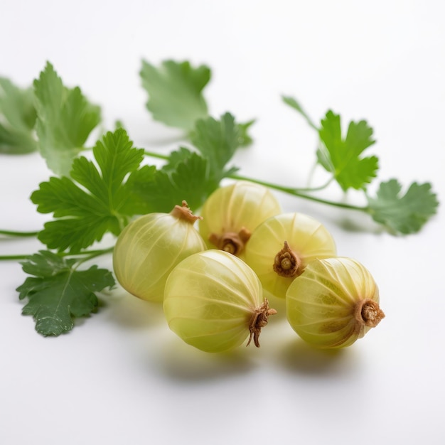 Fruit de groseille isolé sur fond blanc