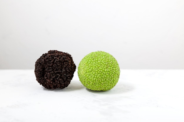 Fruit de Maclura pomifera Fruits périmés de l'année dernière et pomme d'Adam de la nouvelle récolte Famille Mulberry