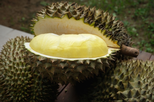 Fruit de Mon Thong durian de Thaïlande