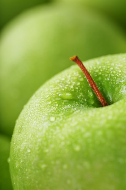 Fruit mûr d'une pomme verte en gros plan avec des gouttes de rosée.