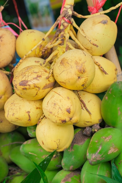 fruit de noix de coco doré et vert dans le fond de la nature