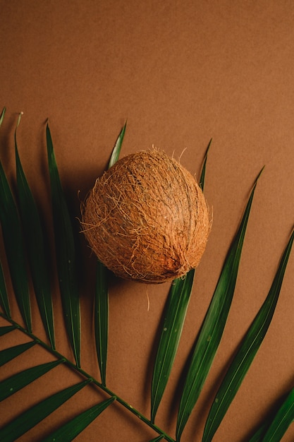 Fruit de noix de coco unique avec des feuilles de palmier sur fond uni brun vibrant, concept tropical, vue de dessus