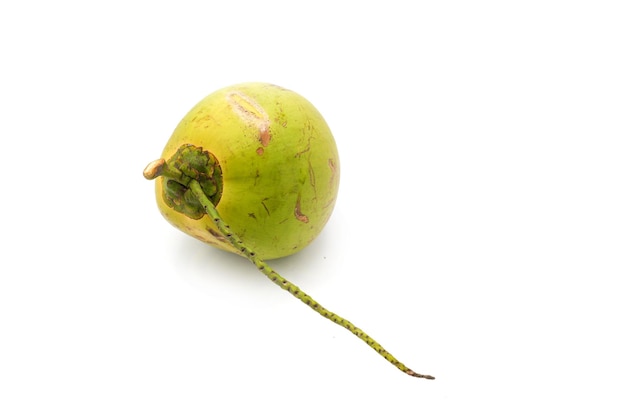 Un fruit de noix de coco vert avec une tige et une feuille verte.