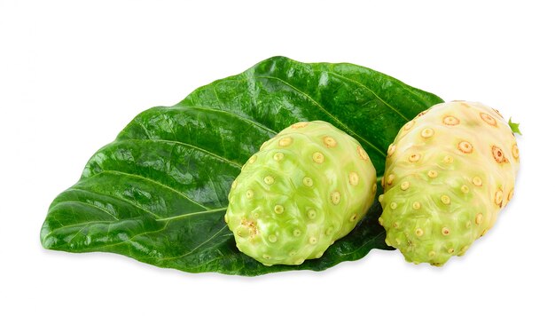 Fruit De Noni Isolé Sur Un Tracé De Détourage Blanc